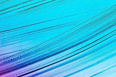 召唤3D魔物娘！帝国模拟养成《我的可爱皇后》现已发售